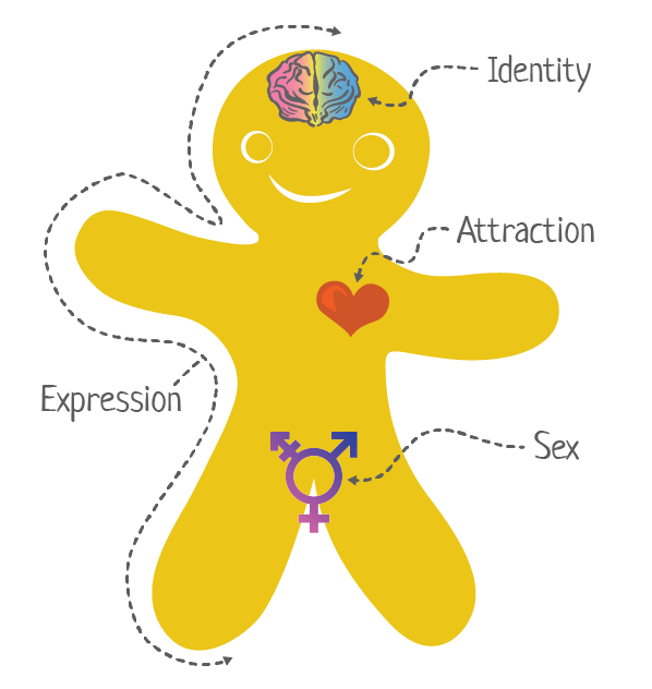 Genderbread